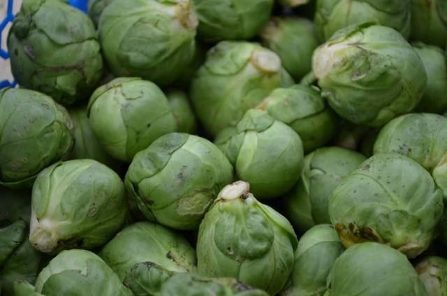 CHOU DE BRUXELLES