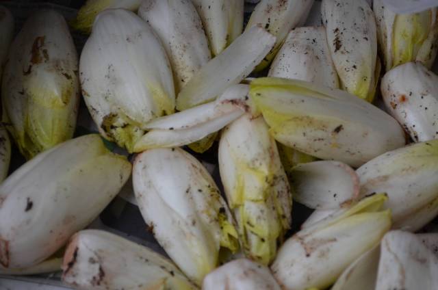 ENDIVE