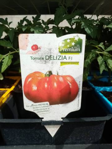 TYPE MARMANDE godet de 8cm