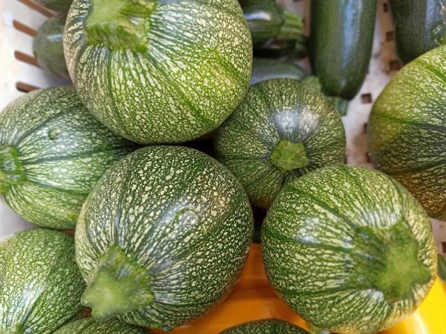 COURGETTE VERTE RONDE