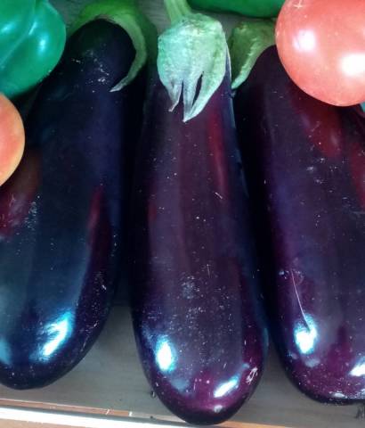 AUBERGINE NOIRE