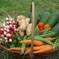 PANIER DE LEGUMES VARIES A 20