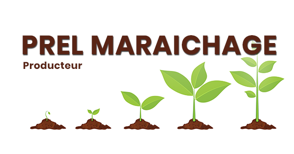 PREL MARAICHAGE